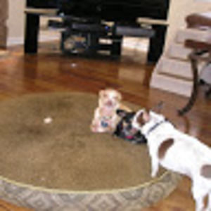 Meet your Posher, Sheila